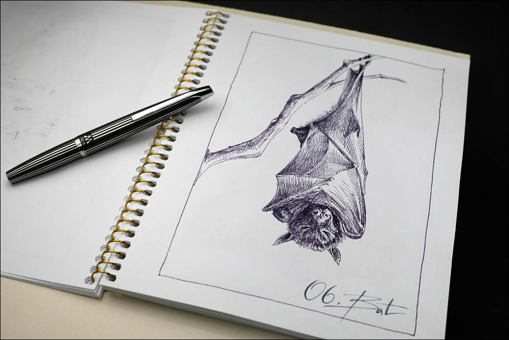 06. Bat. Spooktacular2021. Lenskiy.org